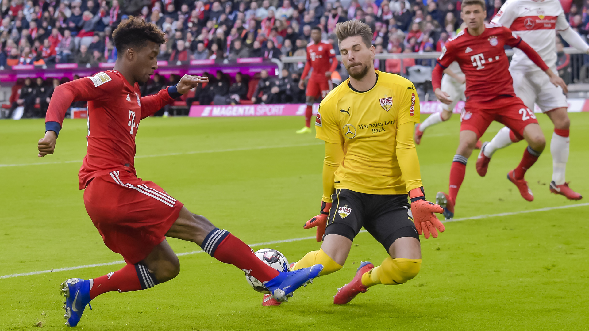 公司画册设计印刷