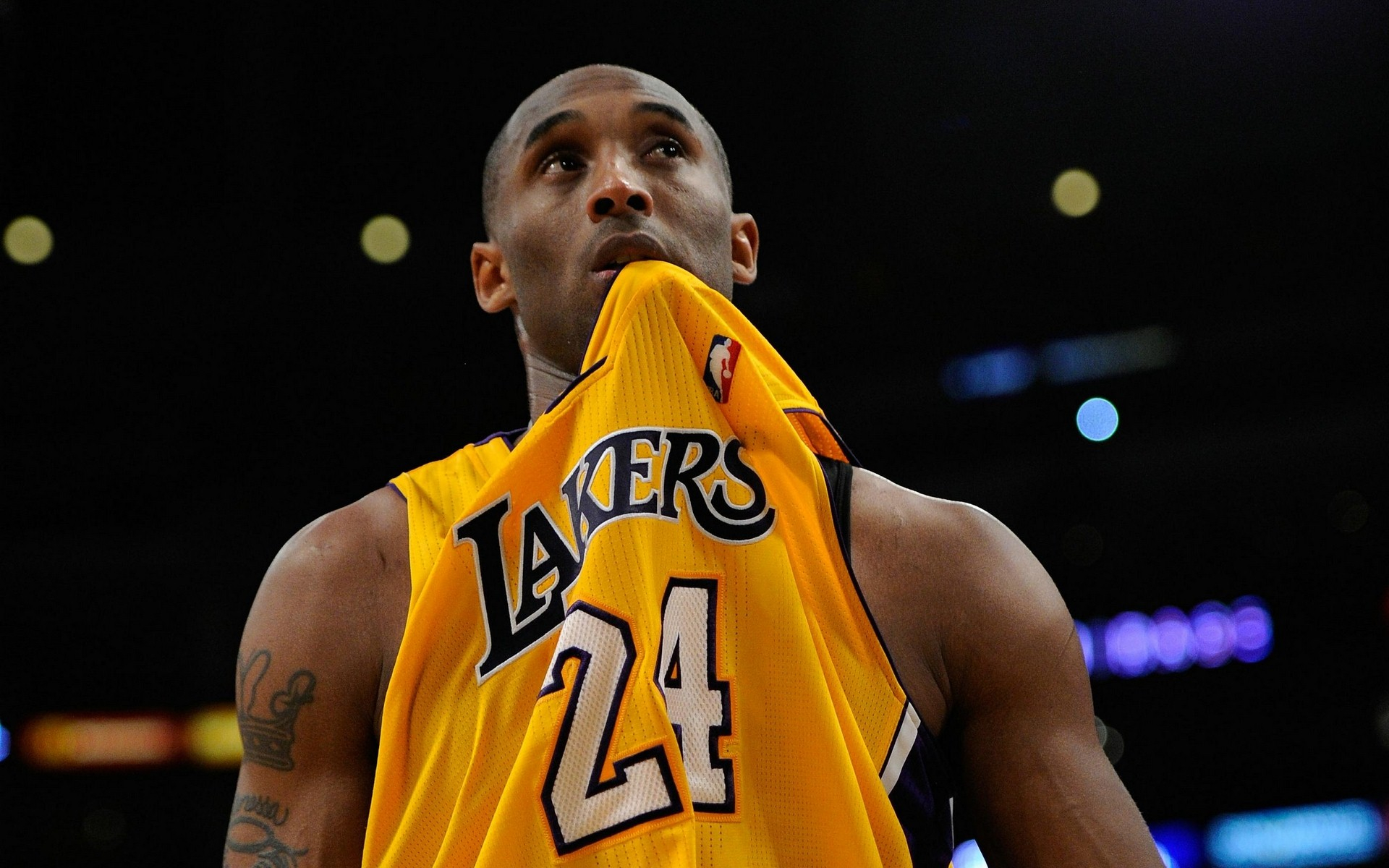 东莞中科能源环保logo设计案例